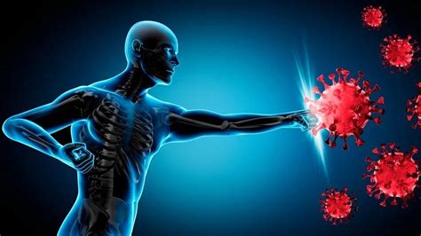 Image result for Human Immunity System