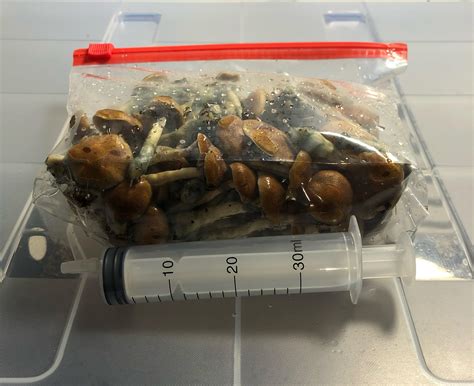 Wanna make Tea and fill Ten 30mL syringes to refrigerate or freeze. I have 300g fresh fruit. 3g ...