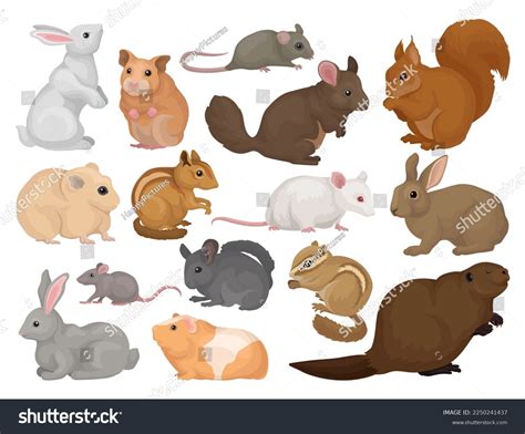 Rodents