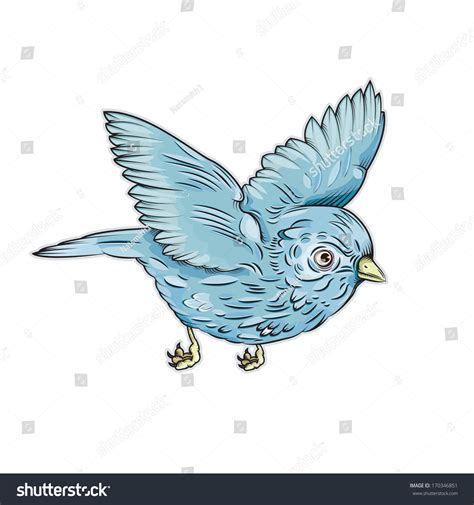 Flying Blue Bird Drawing