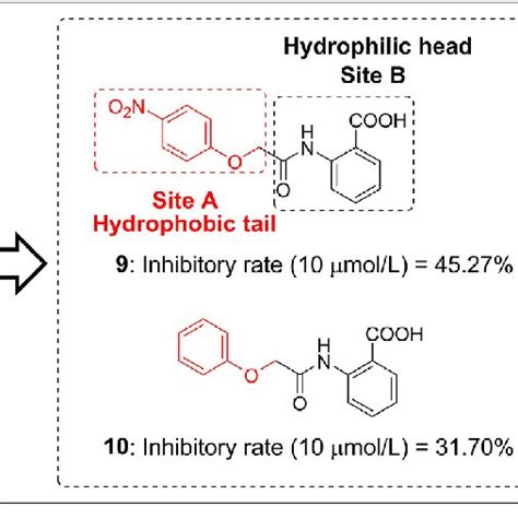 Lead Compound 的图像结果