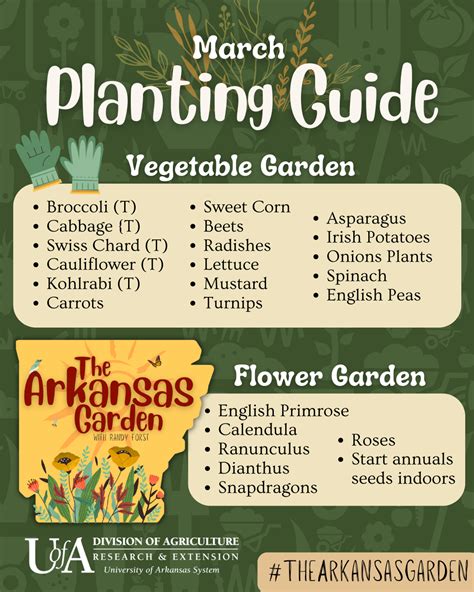 Labanos Planting Guide