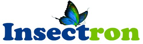 Submit Ticket - Insectron - India's Best Web Design Agency