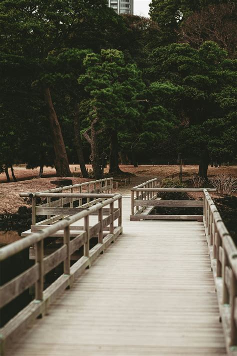 The Day I Lost Him | Medium