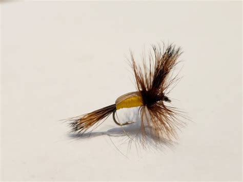 Image result for Foam Humpy Fly Pattern