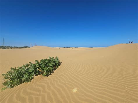 Parque Nacional Medanos De Coro - Venezuela: Info, Photos - Sandee