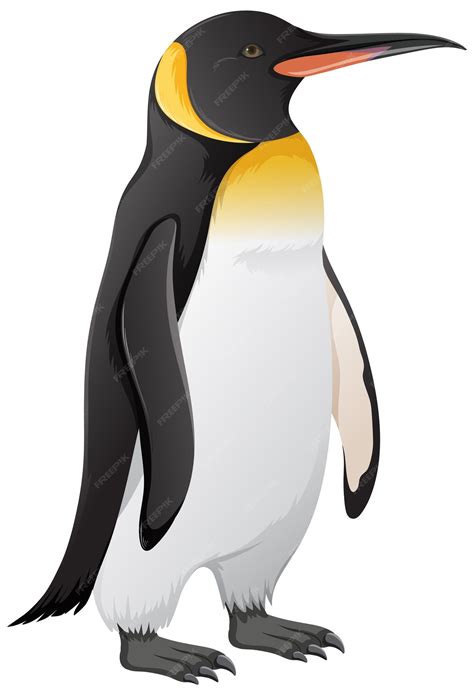 Emperor Penguin Clip Art