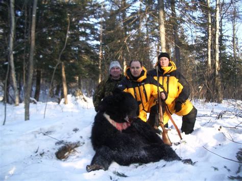 Caza en Siberia Oso Negro En La Osera - de Onís Safaris