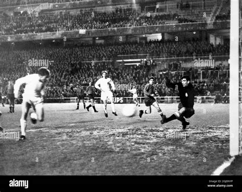 Half spanish half english hi-res stock photography and images - Alamy