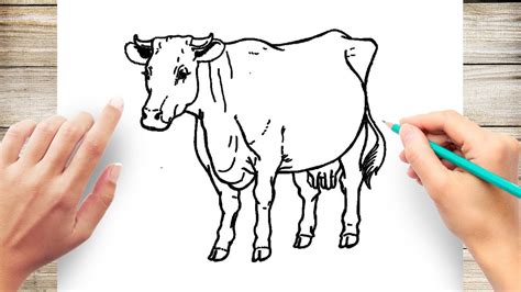 Cow Drawing Tutorial 的图像结果
