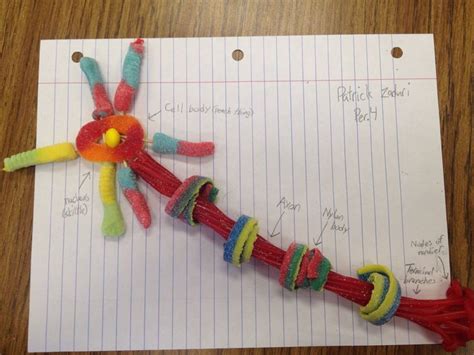 Image result for Pipe Cleaner Neuron Project