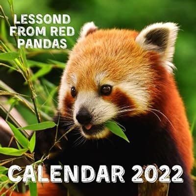 Nature Wisdom Publishing Red Pandas 2022 Mini Wall Calendar with India ...
