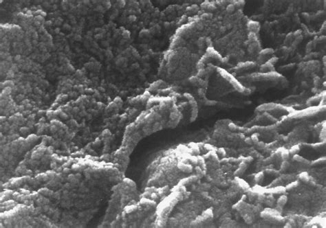 Alien Material 的图像结果