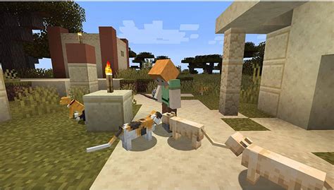 Image result for Minecraft Java Bedrock Edition PC