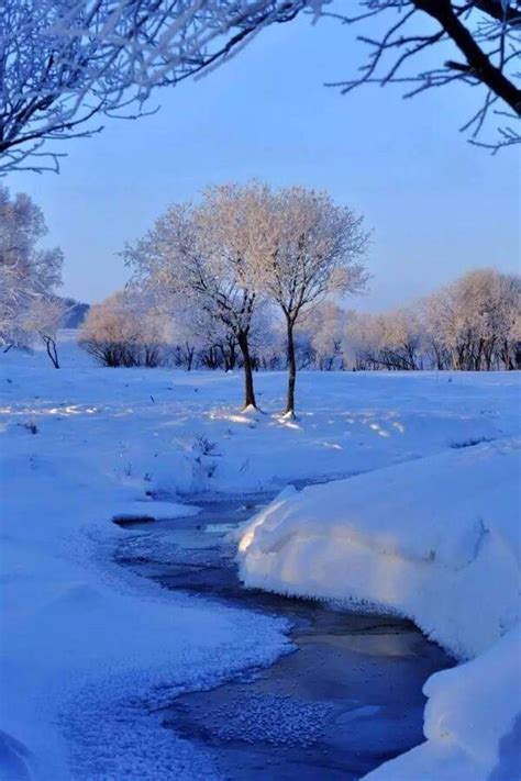 立冬冬至冬天冬季安静雪地风景插画图片-千库网