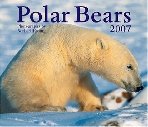 Polar Bears 2007 Calendar : Rosing, Norbert: Amazon.in: Books
