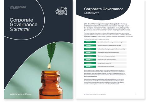Corporate Governance Statement Example 的图像结果