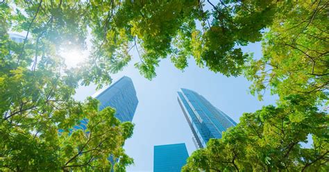 Exploring CDP – Diving into the Requirements & a Roadmap for Score ...