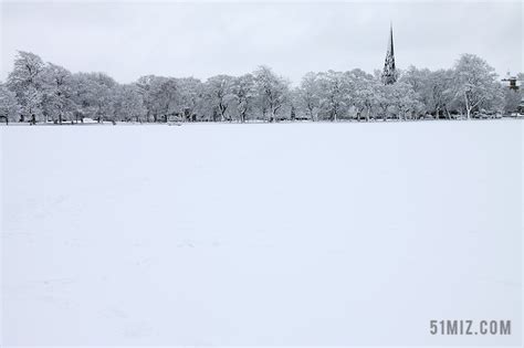 白色冬景0075图片_其他_自然风景-图行天下素材网