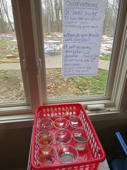 Kindergarten Science Method 的图像结果