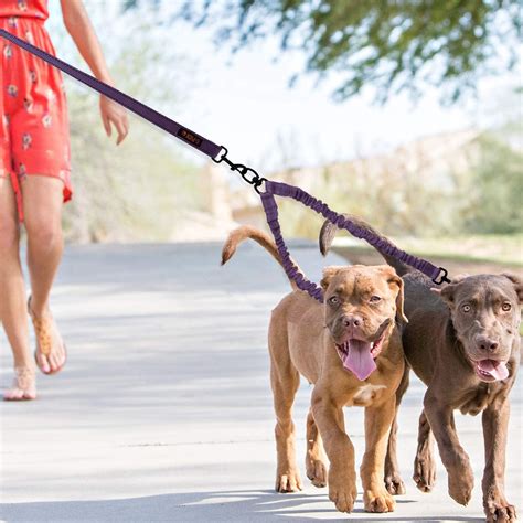 8 Best Double Dog Leash Coupler - Enjoy walking your two dogs together ...