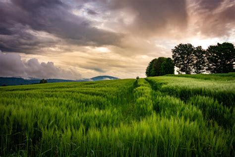 Image result for Native Reserve