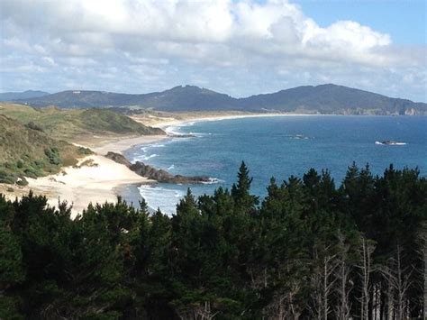 Bream Head Coast Walks (Whangarei) - 2020 What to Know Before You Go ...