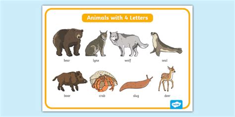Animals with Four Letters Display Poster
