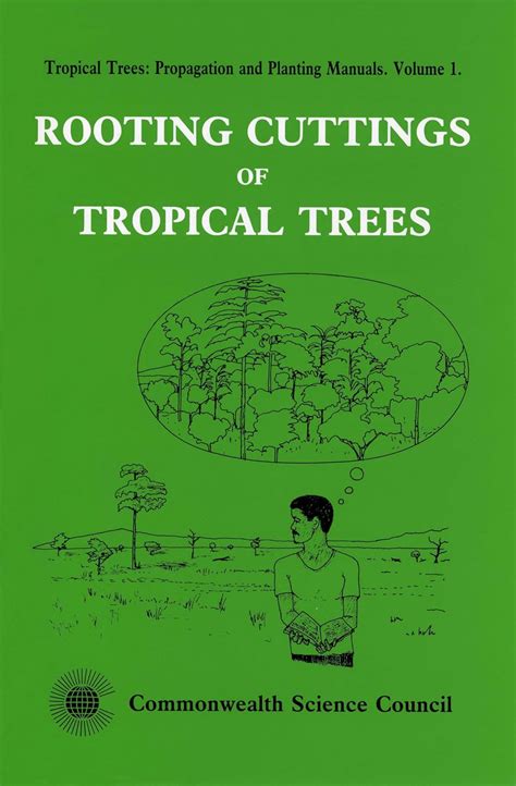 Buy Rooting Cuttings of Tropical Trees: 1 (Tropical Trees: Propagation ...