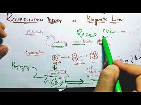 BioGenetic 的图像结果