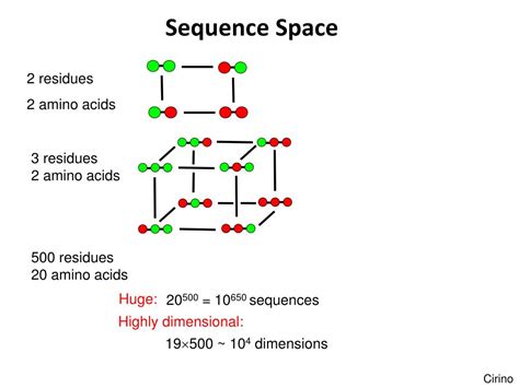 Protein Evolution Landscape 的图像结果