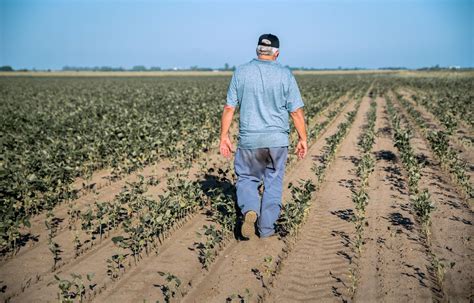 Rain or Ruin: How Extreme Weather is Reshaping South African Farming - Farmspace | Ons Praat Boer