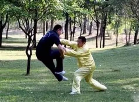 32式杨式太极拳 背向全套演练（吴阿敏）_腾讯视频