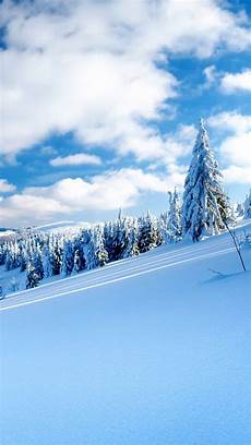 Wallpaper Iphone Snow by 21 Stunning Snow Iphone Wallpapers Templatefor Wallpaper Iphone Snow