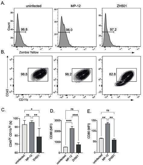 Evaluation of Inactivation Methods for Rift Valley Fever Virus in Mouse ...