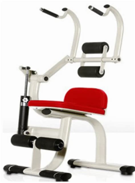 Image result for Arm and Back Machine