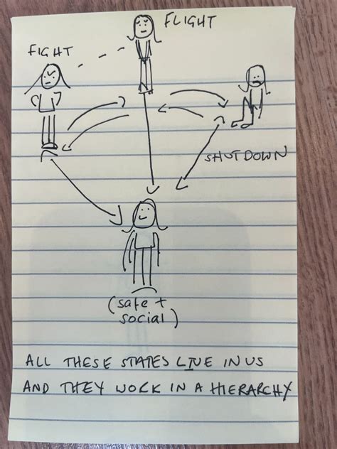 How learning about your physiology can boost your health | Esther ...