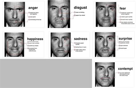 Microexpression 的图像结果