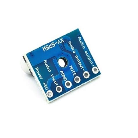Buy 5W Class D Digital Mono Audio Amplifier Module Online In India at ...