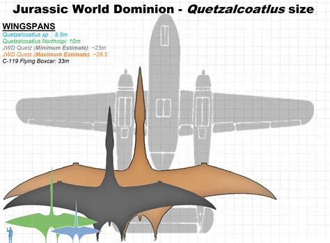 JWD Quetzalcoatlus size estimates, based on the model of plane it is shown attacking. : r/Dinosaurs