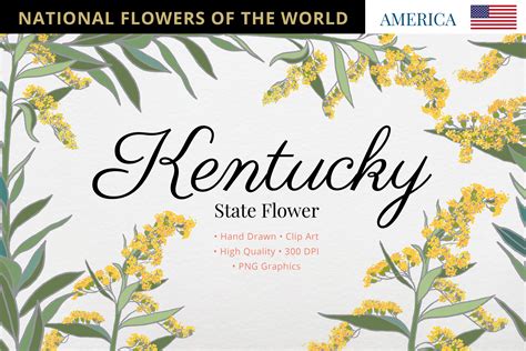 Kentucky State Flower Graphic by Hanatist Studio · Creative Fabrica