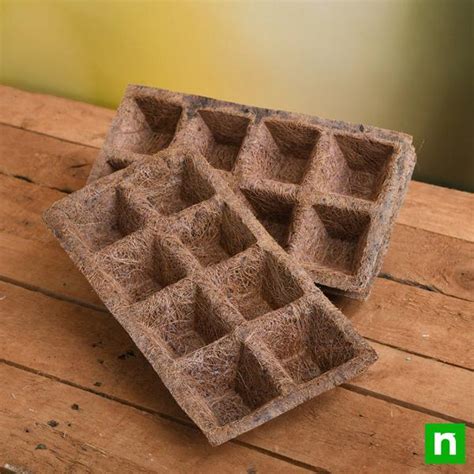 Buy Coir Germination Tray (8 Cells, Square) (Set of 5) online from ...
