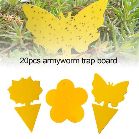 Buy Windfall Sticky Traps, 20Pcs Flying Gnat Catcher Insect Dual Sided ...