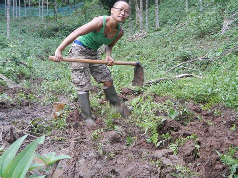 Mysteries of North East: Biologist discovers a blood-red, snake-like ...