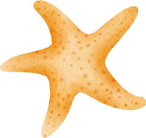 Starfish Clip Art Printable