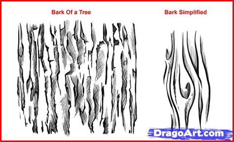 Image result for Tree Bark Simple Drawing