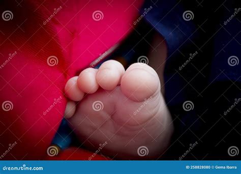Two Month Old Baby Feet on Black Background Stock Photo - Image of love, barefoot: 258828080