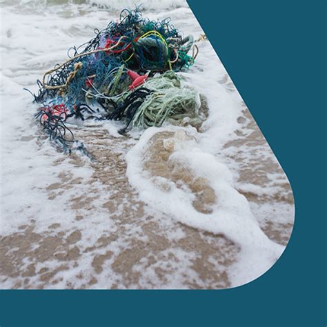 Environment Plastic Pollution 的图像结果