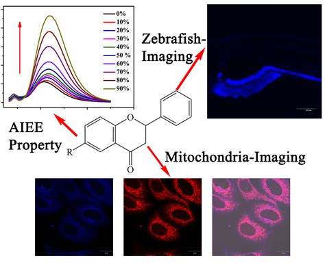 Flavanone-Based Fluorophores with Aggregation-Induced Emission ...