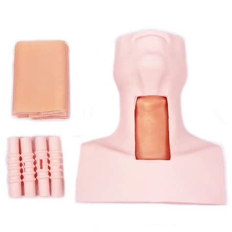 Buy ZCBYBT Tracheal Intubation Model Cricothyroid Membrane Puncture and ...